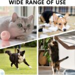 EverDemand Smart Interactive Rolling Ball – Self-Moving Toy for Dogs & Cats